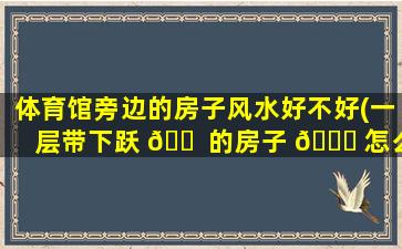 体育馆旁边的房子风水好不好(一层带下跃 🐠 的房子 🍀 怎么装修)